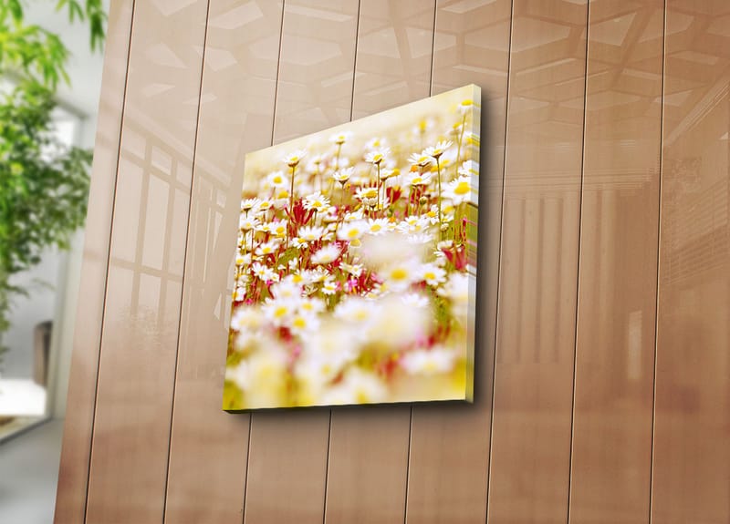 Canvastavla 45x45 cm - Fält av blommor i olika nyanser av vitt och gult - Vitt / Gult / Grönt - Inredning & dekor - Tavlor & konst - Canvastavla