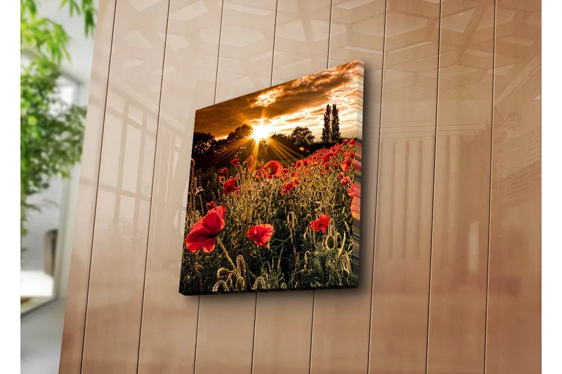 Canvastavla 45x45 cm - Fält av röda vallmo med en strålande sol i bakgrunden - Röd / Orange / Grön - Inredning & dekor - Tavlor & konst - Canvastavla