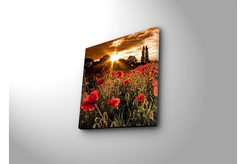 Canvastavla 45x45 cm - Fält av röda vallmo med en strålande sol i bakgrunden - Röd / Orange / Grön - Inredning & dekor - Tavlor & konst - Canvastavla