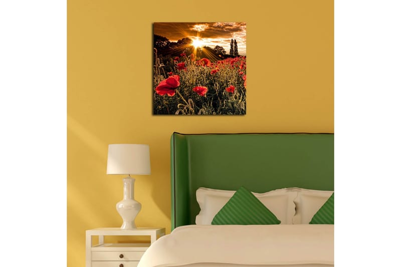 Canvastavla 45x45 cm - Fält av röda vallmo med en strålande sol i bakgrunden - Röd / Orange / Grön - Inredning & dekor - Tavlor & konst - Canvastavla