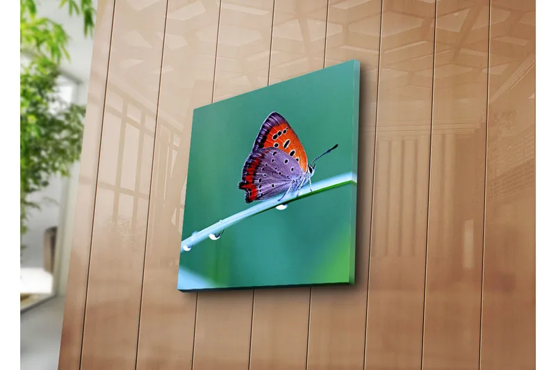 Canvastavla 45x45 cm - Färgglad fjäril på ett grönt blad - Orange / Lila / Grå - Inredning & dekor - Tavlor & konst - Canvastavla