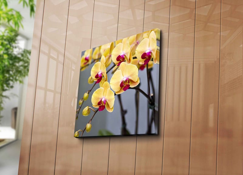 Canvastavla 45x45 cm - Färgglad orkidé med gula och rosa blommor - Gul / Rosa - Inredning & dekor - Tavlor & konst - Canvastavla