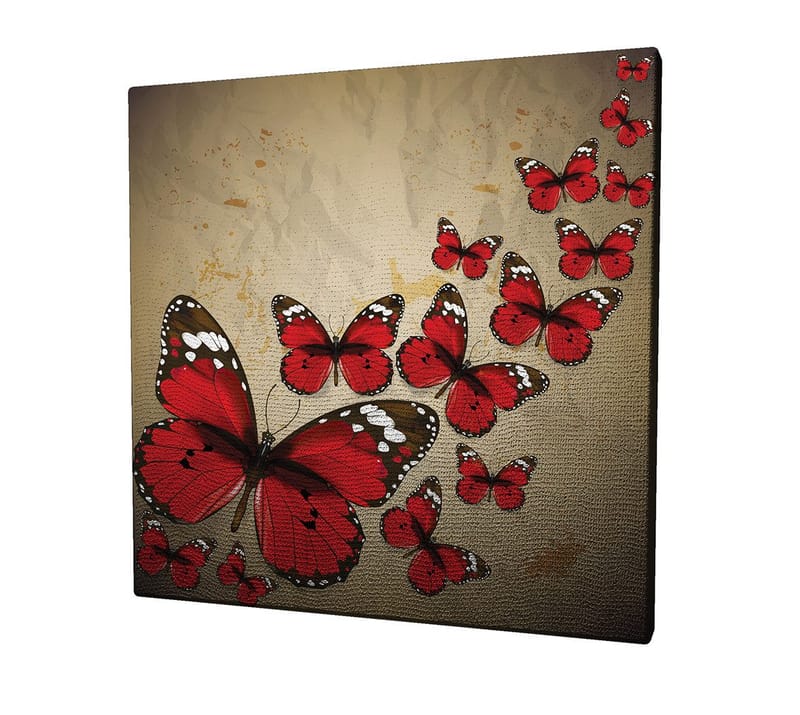 Canvastavla 45x45 cm - Färgglad samling av fjärilar i röd nyans - Röd / Svart / Beige - Inredning & dekor - Tavlor & konst - Canvastavla
