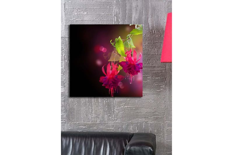 Canvastavla 45x45 cm - Färgrik hängande fuchsia med gröna blad - Rosa / Lila / Grön - Inredning & dekor - Tavlor & konst - Canvastavla