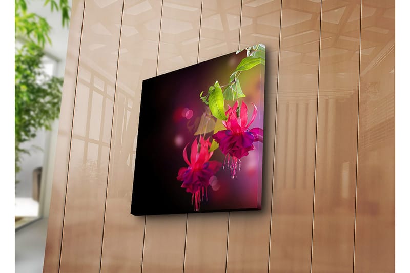 Canvastavla 45x45 cm - Färgrik hängande fuchsia med gröna blad - Rosa / Lila / Grön - Inredning & dekor - Tavlor & konst - Canvastavla