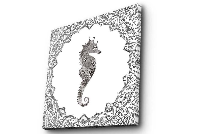 Canvastavla 45x45 cm - Havsdrake i detaljerad svart och vit stil - Svart / Vit - Inredning & dekor - Tavlor & konst - Canvastavla