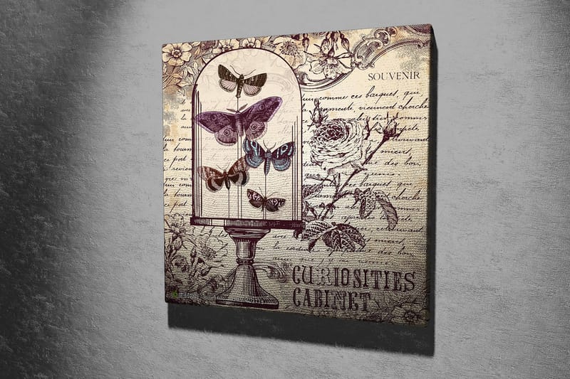 Canvastavla 45x45 cm - Insekter i en glaskupa med blommor och handskriven text i bakgrunden - Lila / Grå / Beige - Inredning & dekor - Tavlor & konst - Canvastavla