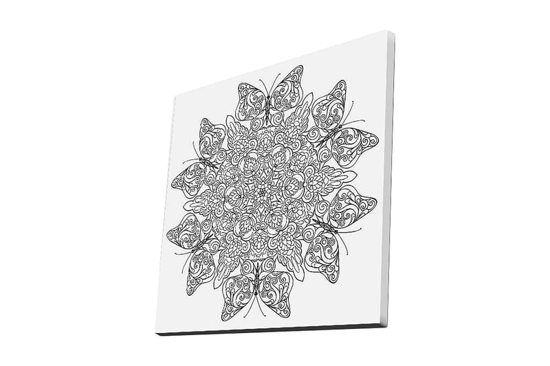 Canvastavla 45x45 cm - Intrikat mönster av fjärilar och blommor, Svart / Vitt
