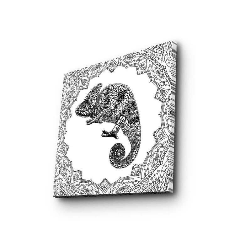 Canvastavla 45x45 cm - Kameleont i detaljrik svart och vit stil - Svart / Vit - Inredning & dekor - Tavlor & konst - Canvastavla