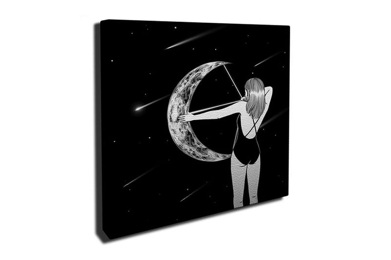Canvastavla 45x45 cm - Kvinna som skjuter en pil mot månen - Svart / Grå / Vit - Inredning & dekor - Tavlor & konst - Canvastavla