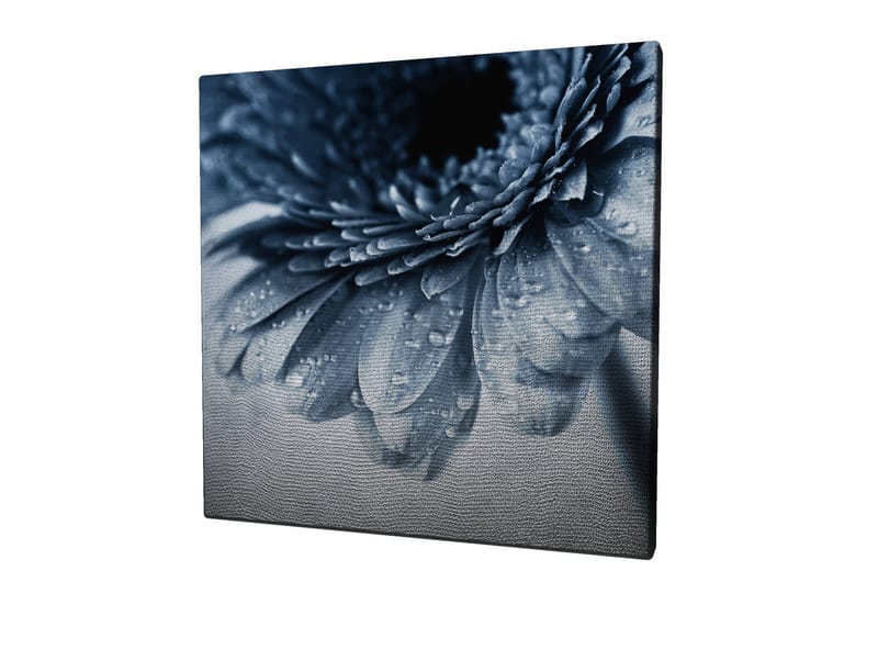 Canvastavla 45x45 cm - Närbild av en blomma med vattendroppar på kronbladen - Blå / Grå - Inredning & dekor - Tavlor & konst - Canvastavla