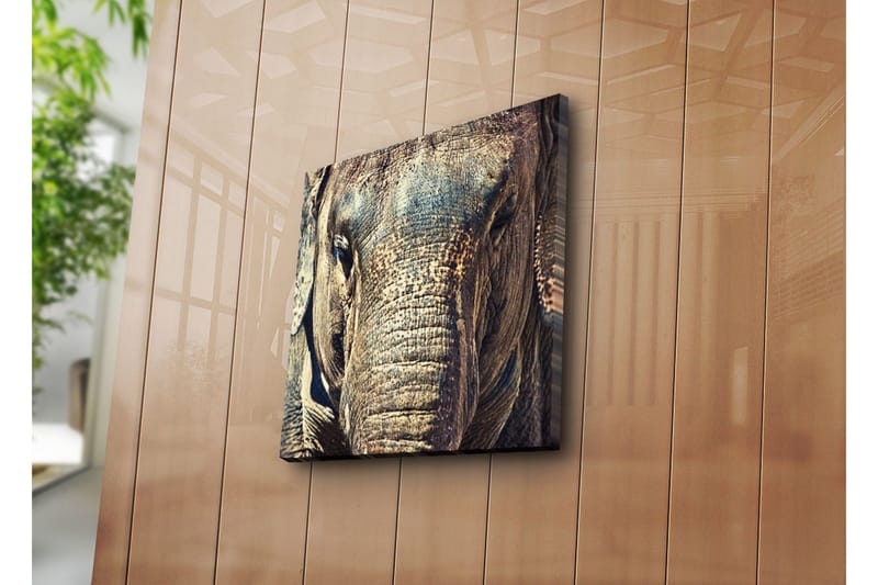 Canvastavla 45x45 cm - Närbild av en elefants ansikte med detaljerad textur - Grå / Brun / Beige - Inredning & dekor - Tavlor & konst - Canvastavla