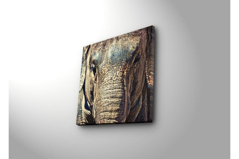 Canvastavla 45x45 cm - Närbild av en elefants ansikte med detaljerad textur - Grå / Brun / Beige - Inredning & dekor - Tavlor & konst - Canvastavla