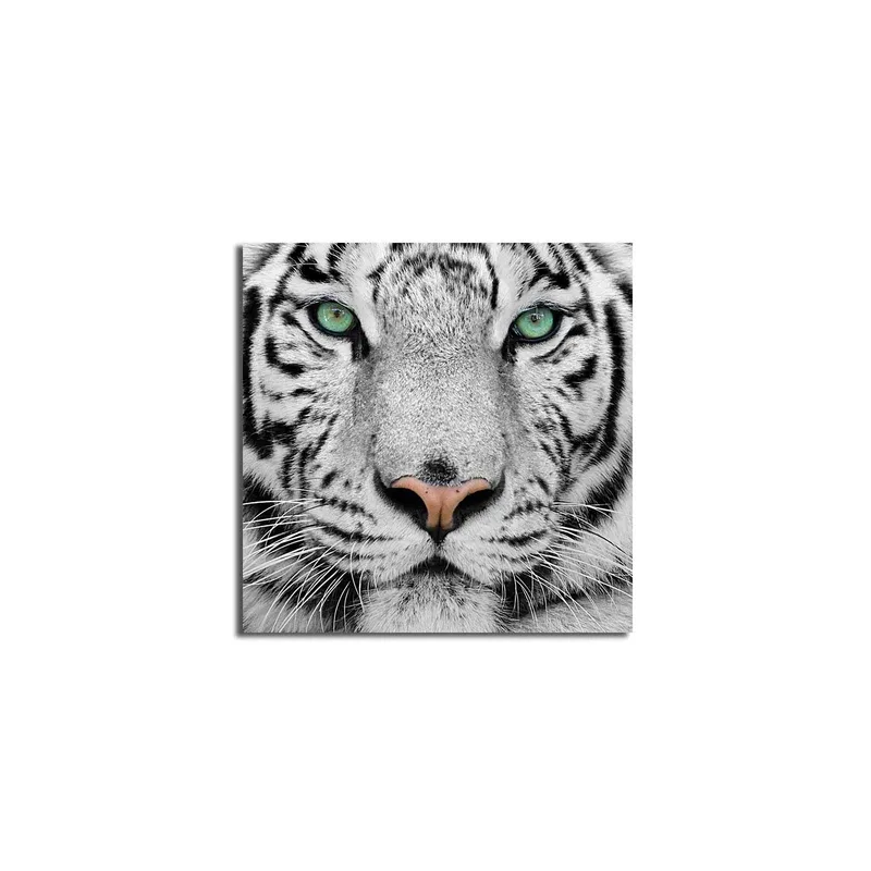 Canvastavla 45x45 cm - Närbild av en vit tiger med intensiva ögon - Vit / Svart / Grön - Inredning & dekor - Tavlor & konst - Canvastavla