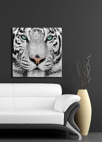 Canvastavla 45x45 cm - Närbild av en vit tiger med intensiva ögon - Vit / Svart / Grön - Inredning & dekor - Tavlor & konst - Canvastavla