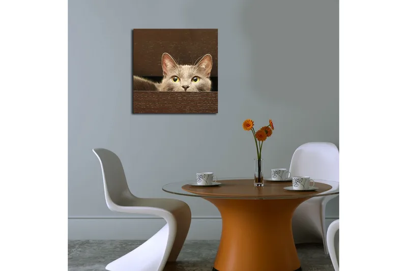 Canvastavla 45x45 cm - Nyfiken katt som tittar fram bakom en låda - Grå / Gulgrön - Inredning & dekor - Tavlor & konst - Canvastavla