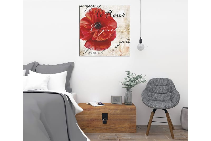 Canvastavla 45x45 cm - Röd vallmo med handskriven text i bakgrunden - Röd / Beige / Svart - Inredning & dekor - Tavlor & konst - Canvastavla