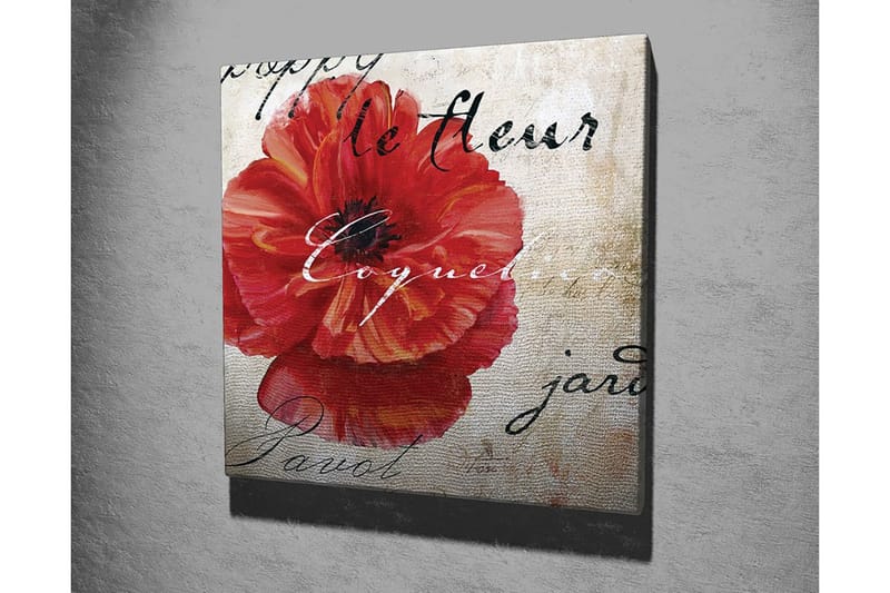Canvastavla 45x45 cm - Röd vallmo med handskriven text i bakgrunden - Röd / Beige / Svart - Inredning & dekor - Tavlor & konst - Canvastavla