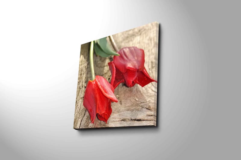 Canvastavla 45x45 cm - Röda tulpaner på en träyta - Röd / Grön - Inredning & dekor - Tavlor & konst - Canvastavla