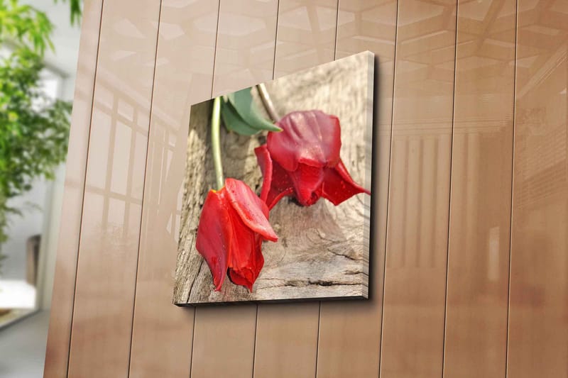 Canvastavla 45x45 cm - Röda tulpaner på en träyta - Röd / Grön - Inredning & dekor - Tavlor & konst - Canvastavla