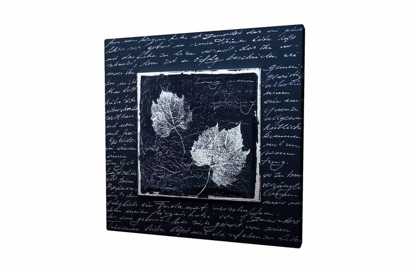 Canvastavla 45x45 cm - Silhuetter av löv på en mörk bakgrund med texturerad yta, Svart / Vit