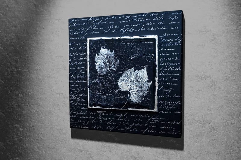 Canvastavla 45x45 cm - Silhuetter av löv på en mörk bakgrund med texturerad yta - Svart / Vit - Inredning & dekor - Tavlor & konst - Canvastavla