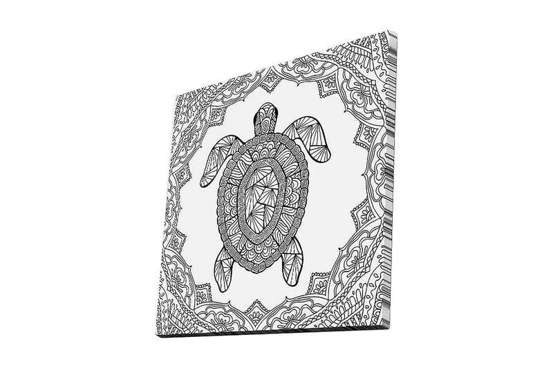 Canvastavla 45x45 cm - Sköldpadda i geometrisk stil omgiven av dekorativa mönster - Svart / Vitt - Inredning & dekor - Tavlor & konst - Canvastavla