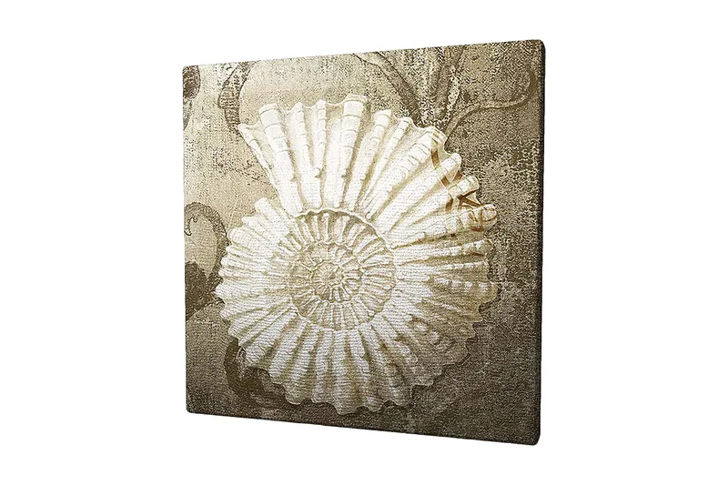 Canvastavla 45x45 cm - Snäcka med detaljerad struktur på en mjuk bakgrund, Vit / Beige / Grå