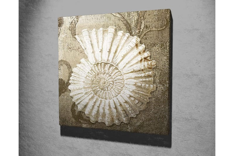 Canvastavla 45x45 cm - Snäcka med detaljerad struktur på en mjuk bakgrund - Vit / Beige / Grå - Inredning & dekor - Tavlor & konst - Canvastavla