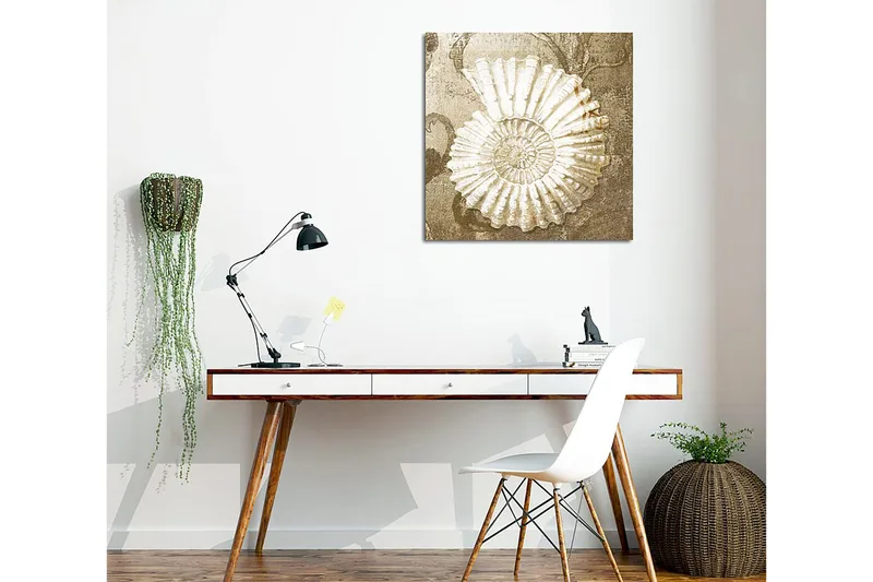 Canvastavla 45x45 cm - Snäcka med detaljerad struktur på en mjuk bakgrund - Vit / Beige / Grå - Inredning & dekor - Tavlor & konst - Canvastavla