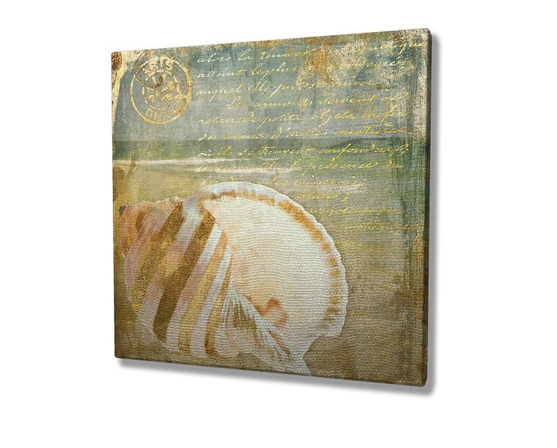 Canvastavla 45x45 cm - Snäcka med subtila detaljer och texturer - Beige / Blå / Grön - Inredning & dekor - Tavlor & konst - Canvastavla