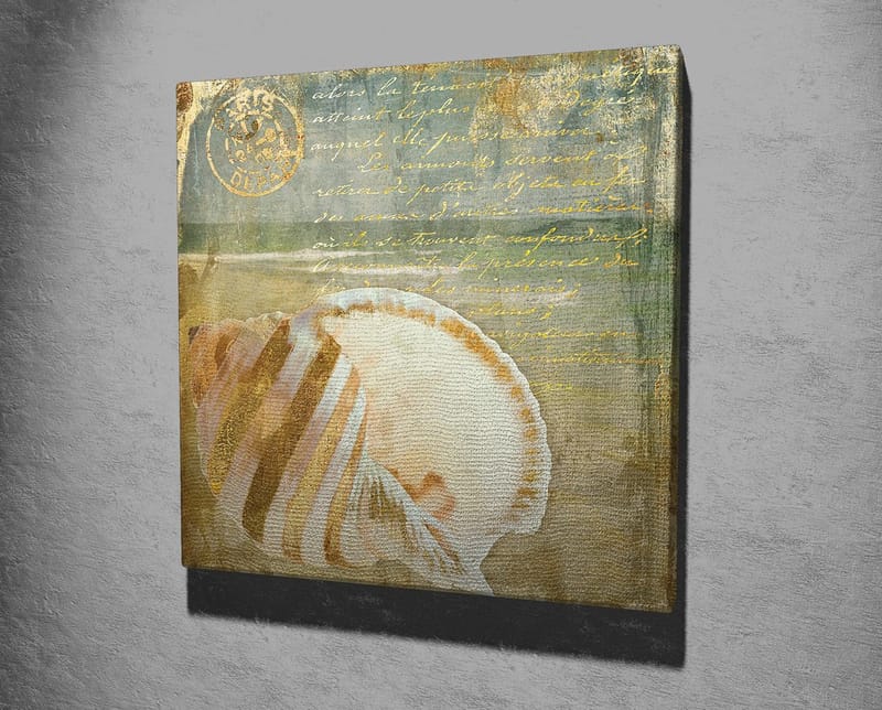 Canvastavla 45x45 cm - Snäcka med subtila detaljer och texturer - Beige / Blå / Grön - Inredning & dekor - Tavlor & konst - Canvastavla