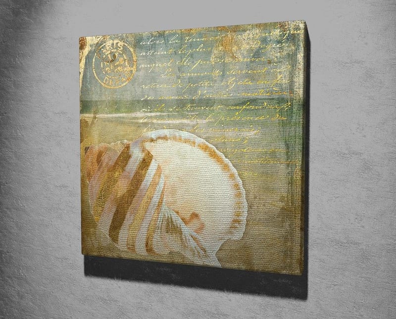 Canvastavla 45x45 cm - Snäcka med subtila detaljer och texturer - Beige / Blå / Grön - Inredning & dekor - Tavlor & konst - Canvastavla