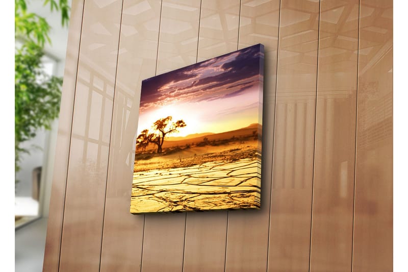 Canvastavla 45x45 cm - Solnedgång över en ökenlandskap med ett ensamt träd - Guld / Orange / Lila - Inredning & dekor - Tavlor & konst - Canvastavla
