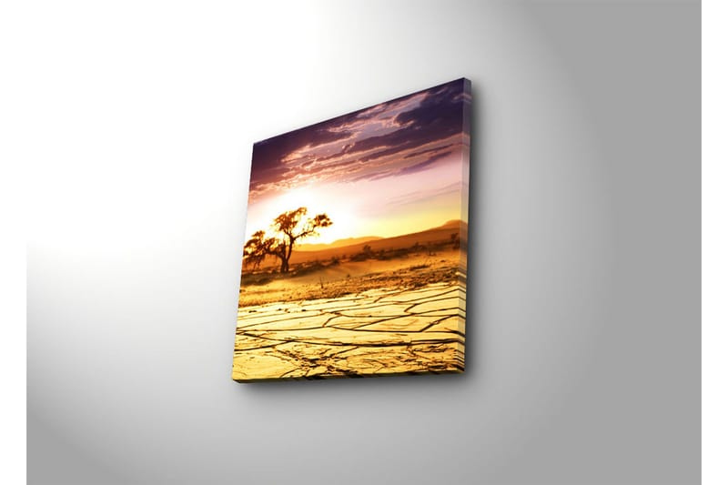 Canvastavla 45x45 cm - Solnedgång över en ökenlandskap med ett ensamt träd - Guld / Orange / Lila - Inredning & dekor - Tavlor & konst - Canvastavla