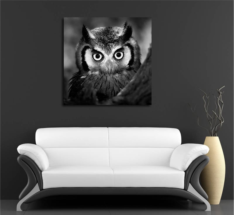 Canvastavla 45x45 cm - Svartvit närbild av uggla med froststänkta fjädrar och genomträngande blick - Svart / Vitt - Inredning & dekor - Tavlor & konst - Canvastavla