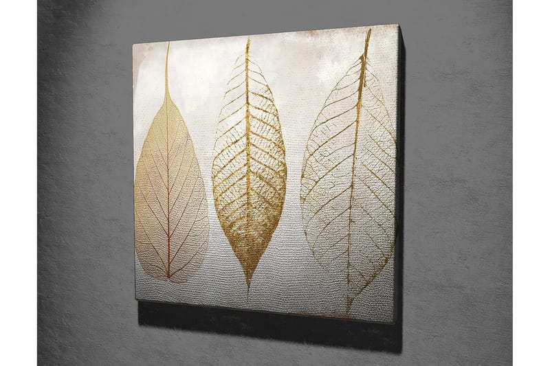 Canvastavla 45x45 cm - Torkade löv i guldtoner - Guld / Beige / Vit - Inredning & dekor - Tavlor & konst - Canvastavla
