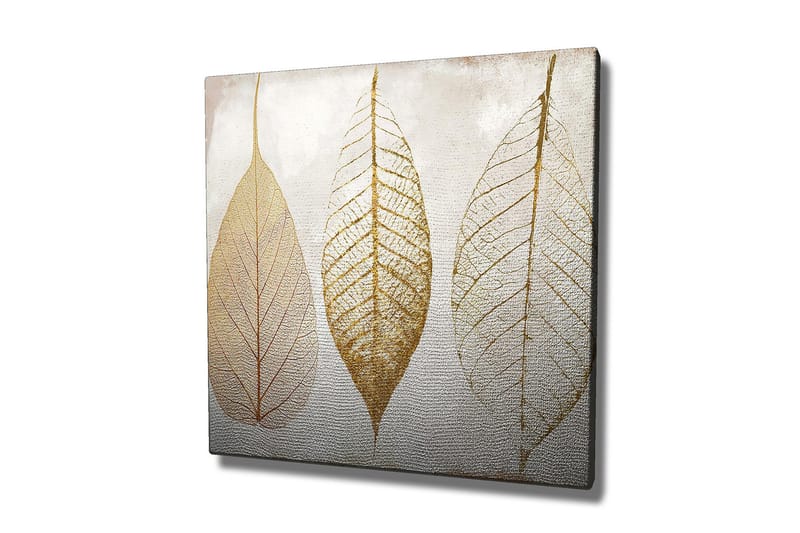 Canvastavla 45x45 cm - Torkade löv i guldtoner - Guld / Beige / Vit - Inredning & dekor - Tavlor & konst - Canvastavla