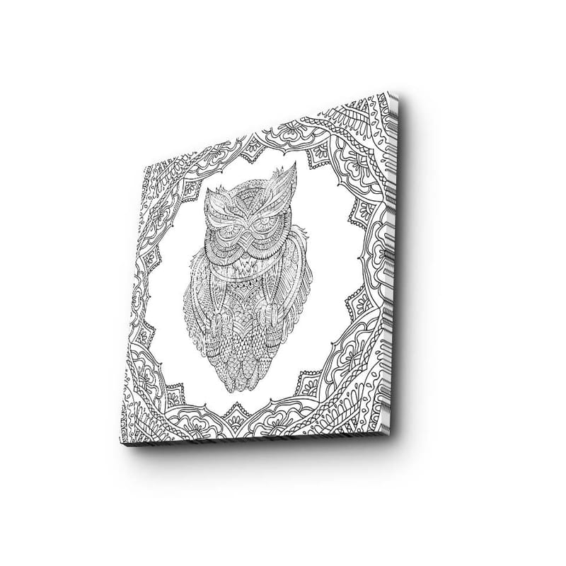 Canvastavla 45x45 cm - Uggla i detaljerad linjeteckning omgiven av ornamentala mönster - Svart / Vitt - Inredning & dekor - Tavlor & konst - Canvastavla