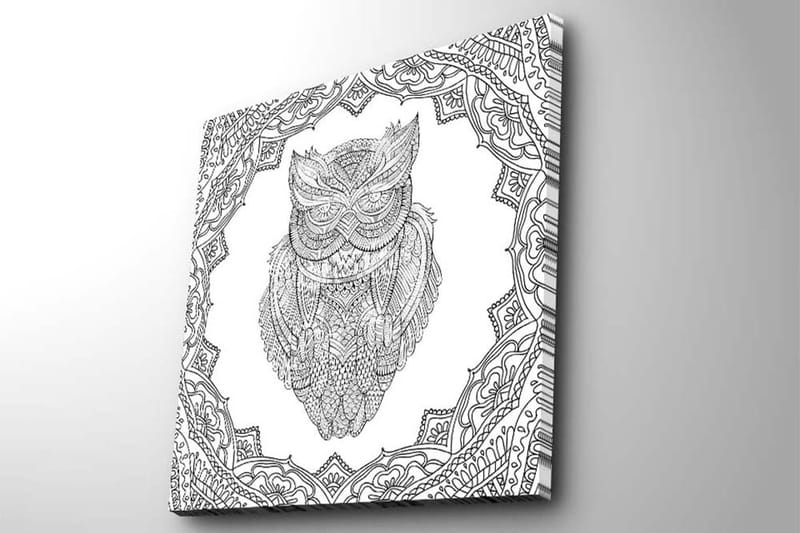 Canvastavla 45x45 cm - Uggla i detaljrik linjeteckning omgiven av ornamentala mönster - Svart / Vitt - Inredning & dekor - Tavlor & konst - Canvastavla