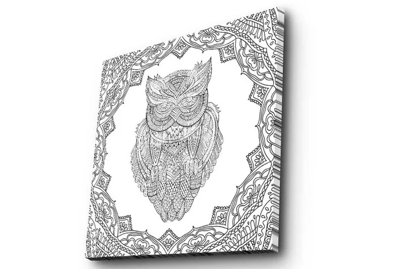 Canvastavla 45x45 cm - Uggla i detaljrik linjeteckning omgiven av ornamentala mönster - Svart / Vitt - Inredning & dekor - Tavlor & konst - Canvastavla