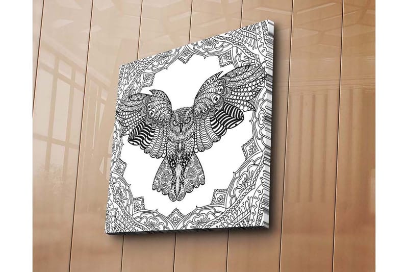 Canvastavla 45x45 cm - Uggla i detaljrik, svart och vit stil, Svart / Vit