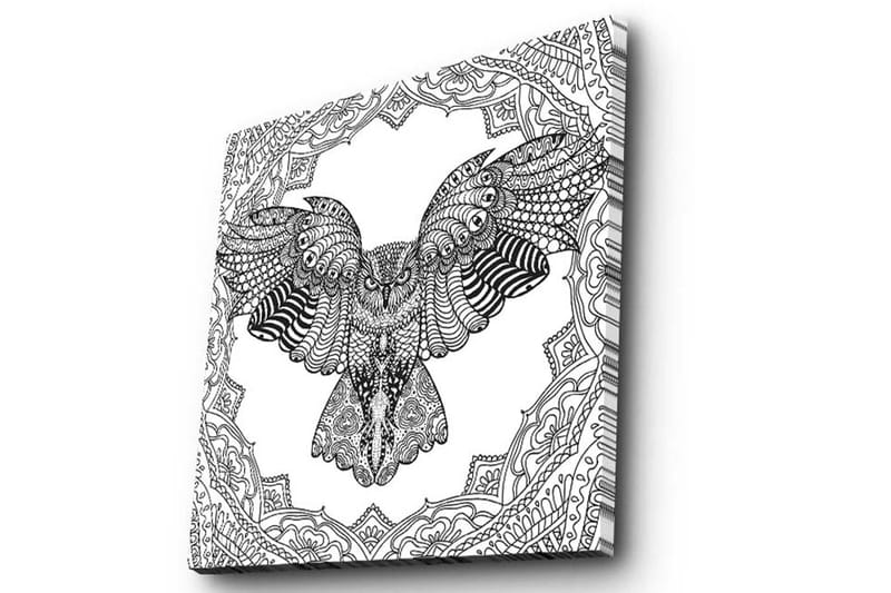 Canvastavla 45x45 cm - Uggla i detaljrik, svart och vit stil - Svart / Vit - Inredning & dekor - Tavlor & konst - Canvastavla