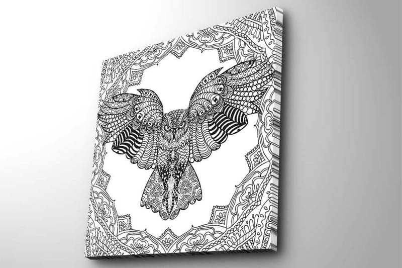 Canvastavla 45x45 cm - Uggla i detaljrik, svart och vit stil - Svart / Vit - Inredning & dekor - Tavlor & konst - Canvastavla