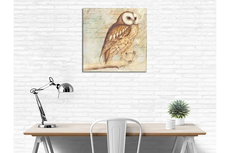 Canvastavla 45x45 cm - Uggla med detaljerad fjäderdräkt - Beige / Brun / Ljusblå - Inredning & dekor - Tavlor & konst - Canvastavla