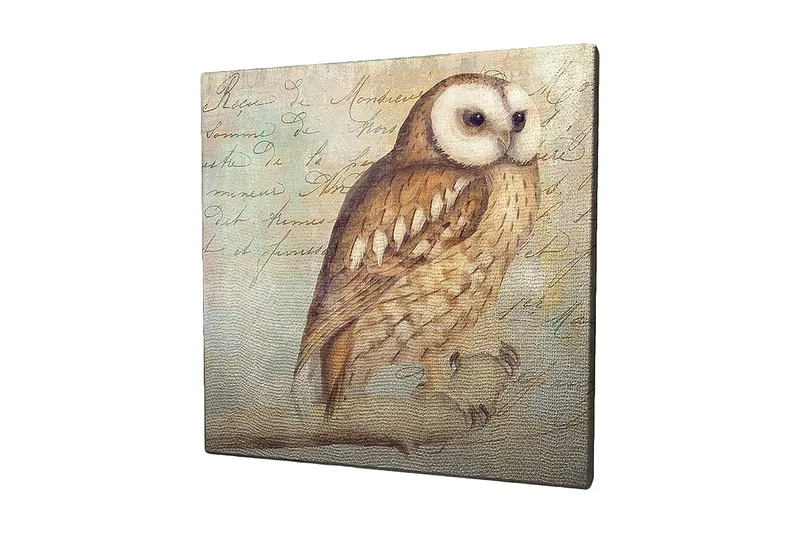 Canvastavla 45x45 cm - Uggla med detaljerad fjäderdräkt, Beige / Brun / Ljusblå