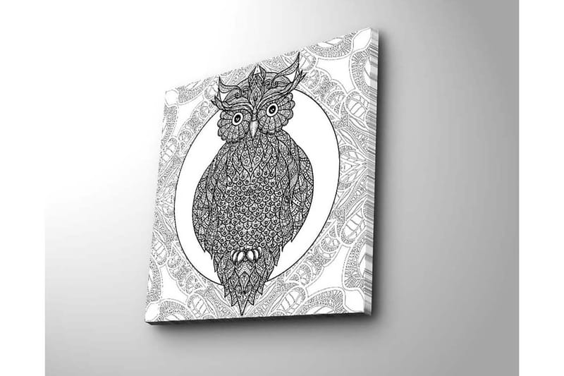 Canvastavla 45x45 cm - Uggla med intrikata mönster i svart och vitt - Svart / Vitt - Inredning & dekor - Tavlor & konst - Canvastavla