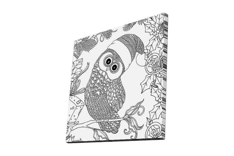 Canvastavla 45x45 cm - Uggla med tomteluva omgiven av juliga detaljer, Svart / Vitt