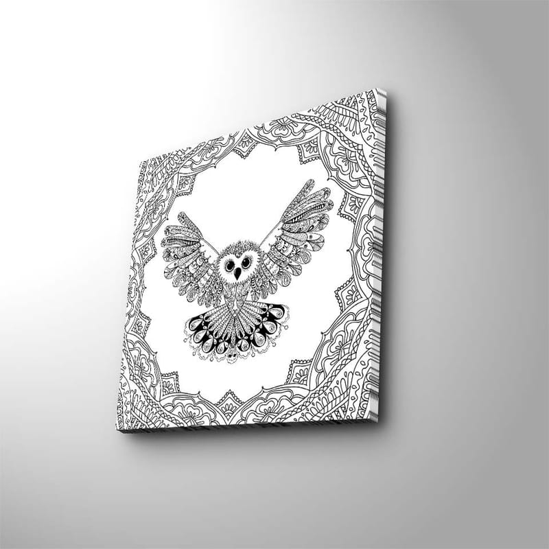 Canvastavla 45x45 cm - Uggla med utsträckta vingar i detaljrik ram - Svart / Vitt - Inredning & dekor - Tavlor & konst - Canvastavla