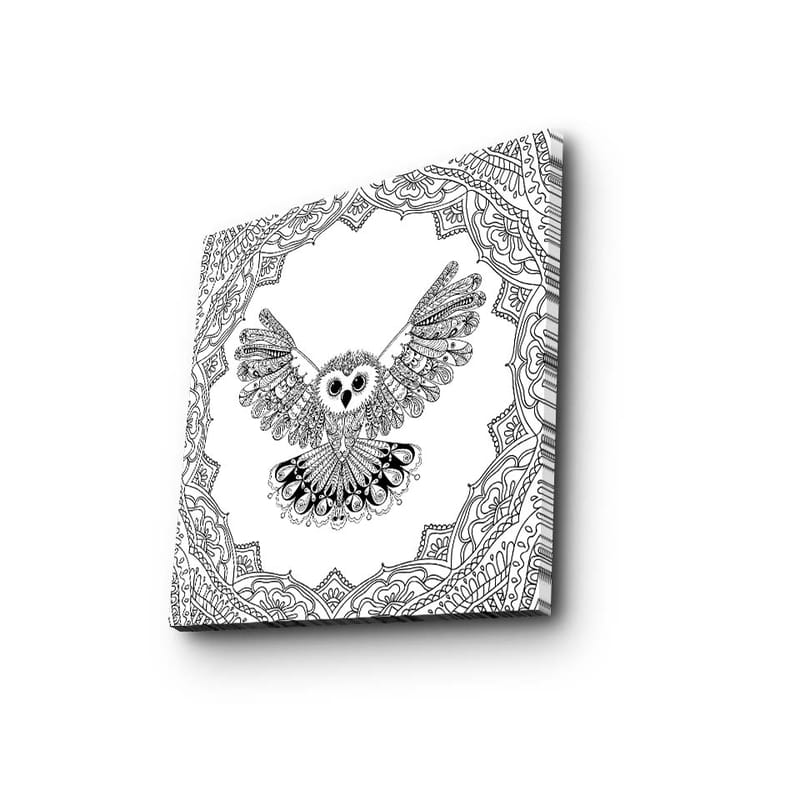 Canvastavla 45x45 cm - Uggla med utsträckta vingar i detaljrik ram, Svart / Vitt